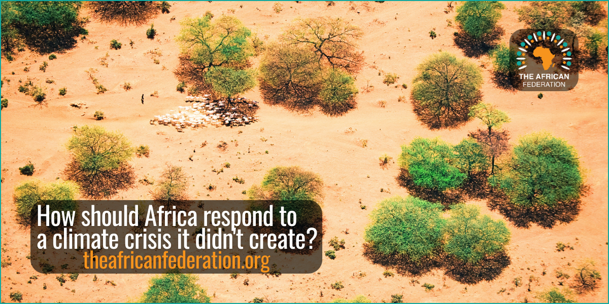 How should Africa respond to a climate crisis it didn't create