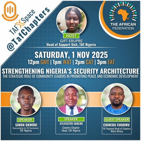 TAF Twitter Space | Nigeria's Security Architecture